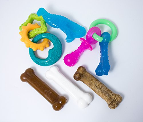 0018214843344 - NYLABONE PUPPY TOY BUNDLE WITH CHEW TOY STARTER KIT, PUPPY TEETHING PACIFIER, DINO CHEW TOY AND TEETHING RINGS