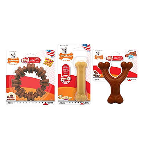 0018214852179 - NYLABONE POWER CHEW CUSTOMER FAVORITES DOG CHEW TOY BUNDLE PACK OF 3 SMALL/REGULAR - UP TO 25 LBS.