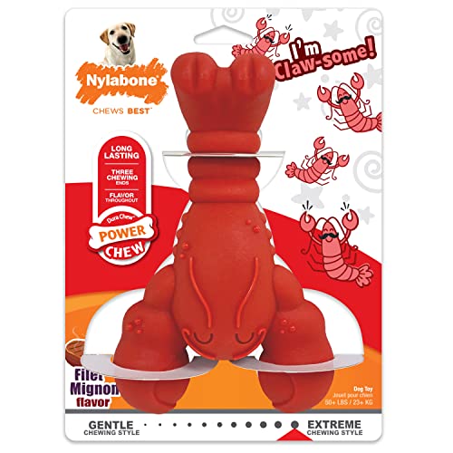0018214853695 - NYLABONE LOBSTER DOG TOY POWER CHEW DOG TOY FOR AGGRESSIVE CHEWERS - FUNNY DOG TOYS - FILET MIGNON DOG TOY - X-LARGE/SOUPER (1 COUNT)