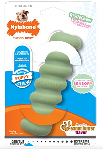 0018214854579 - NYLABONE PUPPY TACTILE TOYS STICK SMALL/REGULAR (1 COUNT)