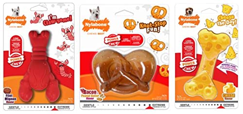 0018214854869 - NYLABONE BUNDLE DOG TOY POWER CHEWS – CUTE DOG TOYS FOR AGGRESSIVE CHEWERS – WITH A FUNNY TWIST! SMALL/REGULAR (3 COUNT)