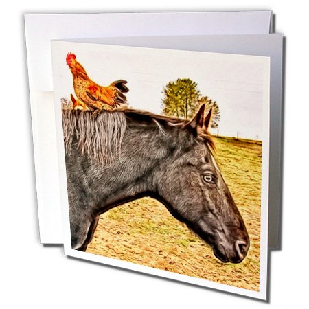 0190133095896 - 3DROSE HORSE & CHICKEN FRIENDS BY ANGELANDSPOT GREETING CARDS, 6 X 6, SET OF 12 (GC_8466_2)