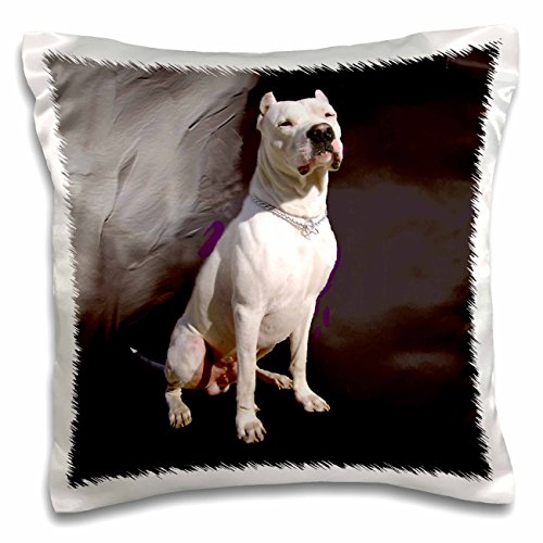 0190133224999 - 3DROSE PC_4258_1 ARGENTINE DOGO-PILLOW CASE, 16 BY 16