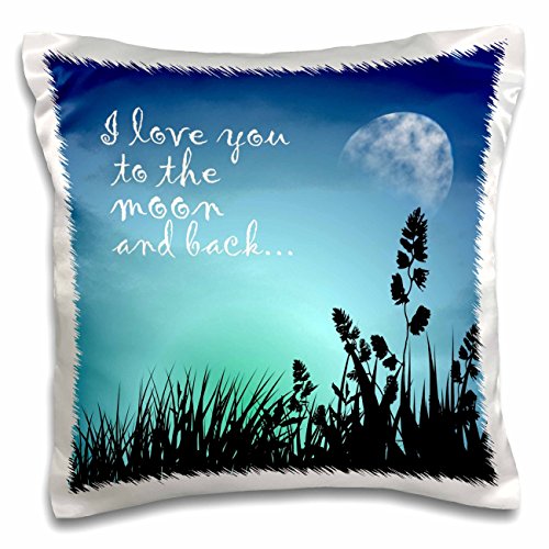 0190133247417 - 3DROSE PC_220301_1 BEAUTIFUL BLUE NIGHT SCENE- I LOVE YOU TO THE MOON AND BACK PILLOW CASE, 16 X 16