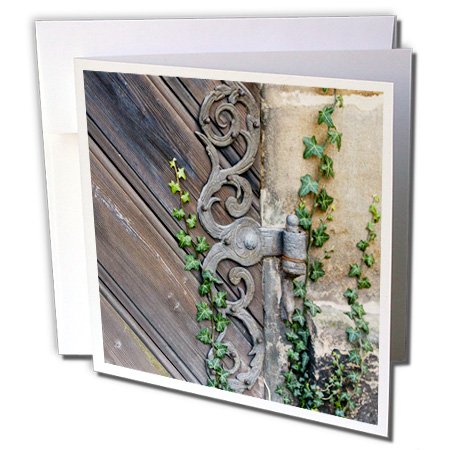 0190133297764 - ROSE GARDEN, NEW PALACE, BAMBERG, GERMANY - GREETING CARDS, 6 X 6 INCHES, SET OF 12 (GC_137196_2)