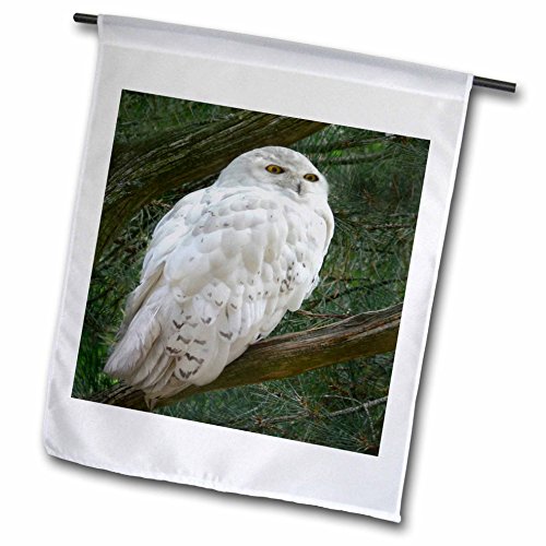 0190133320790 - 3DROSE FL_154800_1 SNOW WHITE OWL PERCHED ON A BRANCH AGAINST A GREEN BACKGROUND GARDEN FLAG, 12 X 18