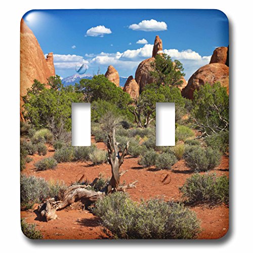 0190133336418 - 3DROSE LSP_207726_2 USA, UTAH, ARCHES NP. DEVILS GARDEN WITH SAND TOWERS AND DEAD TREES. - DOUBLE TOGGLE SWITCH