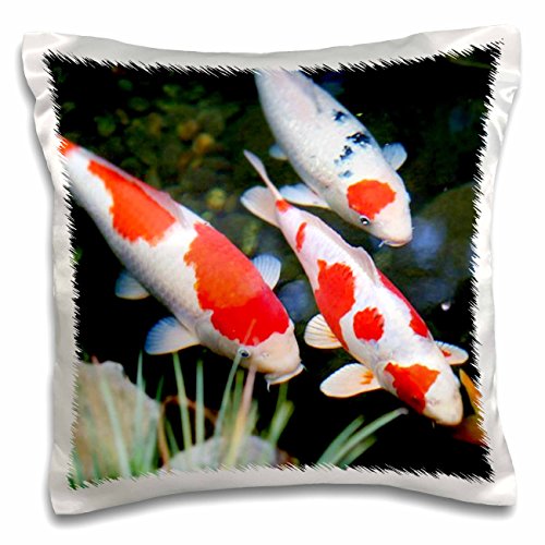0190133367733 - 3DROSE JAPANESE ORANGE N WHITE KOI FISH-PILLOW CASE, 16 BY 16 (PC_62378_1)