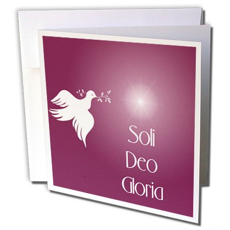 0190133755059 - 777IMAGES DESIGNS TEXT ART - DOVE WITH AN OLIVE BRANCH, BRIGHT STAR AND SOLI DEO GLORIA, GLORY TO GOD ALONE. ON RED BROWN BK. - GREETING CARDS-1 GREETING CARD WITH ENVELOPE (GC_99130_5)
