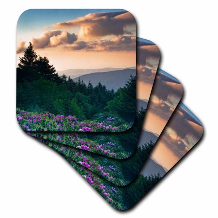 0190133841936 - 3DROSE USA, NORTH CAROLINA. CATAWBA RHODODENDRONS IN MOUNTAINS - SOFT COASTERS, SET OF 4