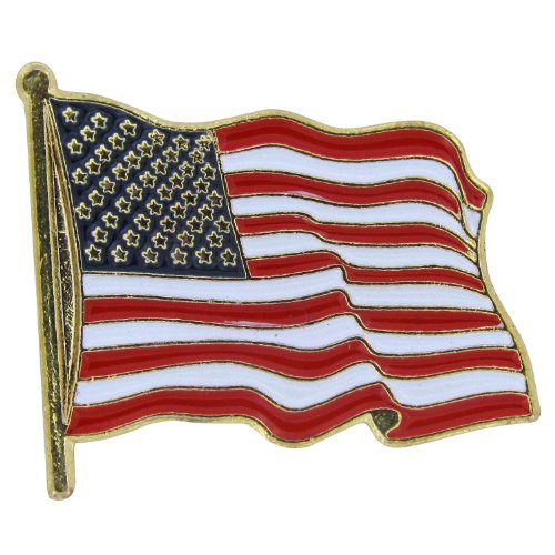 0190140022380 - US FLAG STORE USA LAPEL PIN STANDARD FLAG
