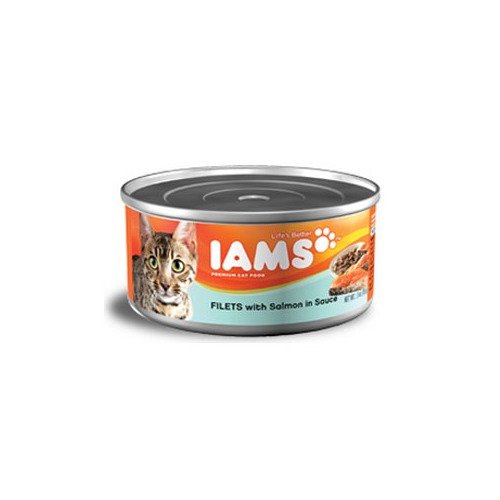 0019014043378 - IAMS PROACTIVE HEALTH ADULT FILETS WITH SALMON IN SAUCE CANNED CAT FOOD