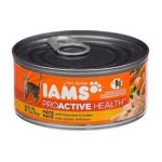 0019014043408 - PROACTIVE HEALTH ADULT WET CAT FOOD PATE WITH GOURMET CHICKEN