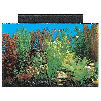 0019034122008 - SEACLEAR 20 GAL ACRYLIC AQUARIUM COMBO SET, 24 BY 13 BY 16, CLEAR