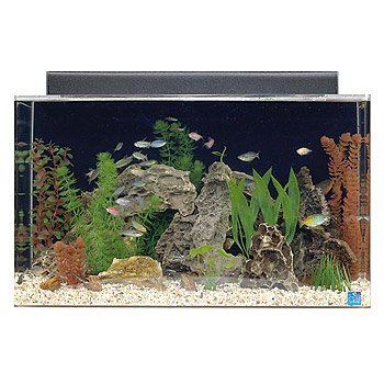 0019034122909 - SEACLEAR 29 GAL SHOW ACRYLIC AQUARIUM COMBO SET, 30 BY 12 BY 18, CLEAR