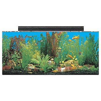 0019034123036 - SEACLEAR 30 GAL SHOW ACRYLIC AQUARIUM COMBO SET, 36 BY 12 BY 16, CLEAR