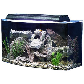 SeaClear Acrylic Aquarium Combo Set 