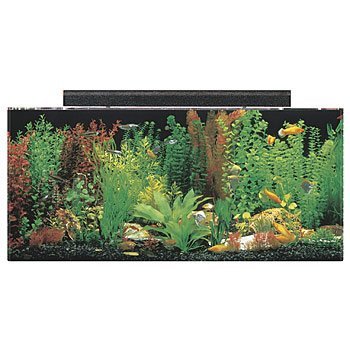 0019034124002 - SEACLEAR 40 GAL ACRYLIC AQUARIUM COMBO SET, 36 BY 15 BY 16, CLEAR