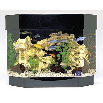  SeaClear 50 gal Acrylic Aquarium Combo Set, 36 by 15 by 20,  Black : Pet Supplies