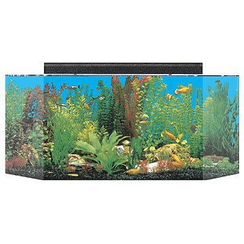 0019034352603 - SEACLEAR 26 GAL FLAT BACK HEXAGON ACRYLIC AQUARIUM COMBO SET, 36 BY 12 BY 16, CLEAR