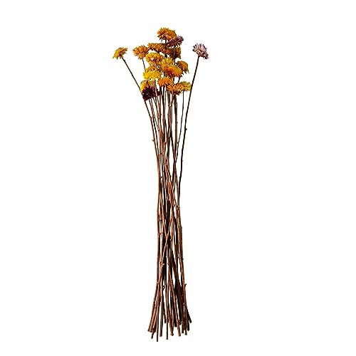 0191009399018 - CREATIVE CO-OP DRIED NATURAL STRAW FLOWER BUNCH, MULTI COLOR (EACH ONE WILL VARY) BOUQUET