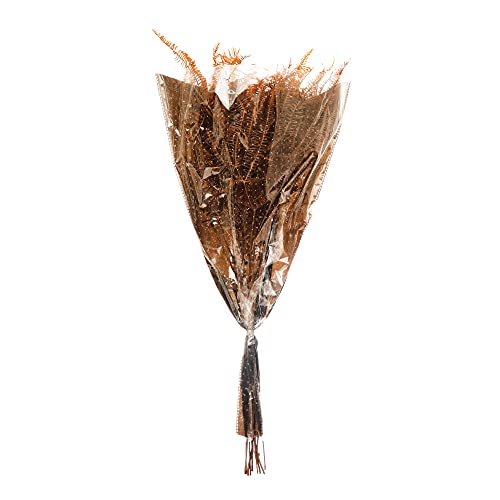 0191009405764 - CREATIVE CO-OP NATURAL FERN BUNCH, BROWN (CONTAINS 10 PIECES) DRIED BOTANICALS