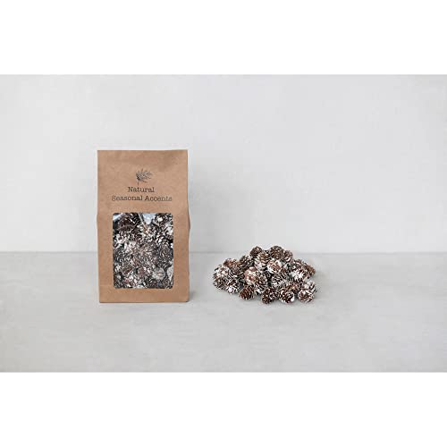 0191009497165 - CREATIVE CO-OP APPROXIMATELY 3/4 L-1-1/2 L DRIED NATURAL PINECONES IN PRINTED KRAFT BAG, SNOW FINISH (CONTAINS 7 OZ.) ARTIFICIAL PLANTS, 6 L X 2 W X 10 H, MULTI