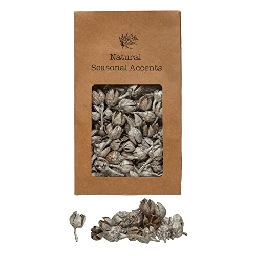 0191009497189 - CREATIVE CO-OP APPROXIMATELY 1 L-2 L DRIED NATURAL PODS IN PRINTED KRAFT BAG, SILVER FINISH (CONTAINS 4 OZ.) ARTIFICIAL PLANTS, 6 L X 2 W X 10 H, MULTI