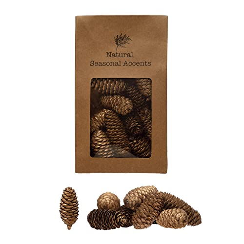 0191009497196 - CREATIVE CO-OP APPROXIMATELY 2-1/4L-4-1/4 L DRIED NATURAL PINECONES IN PRINTED KRAFT BAG, GOLD FINISH (CONTAINS 5 OZ.) ARTIFICIAL PLANTS, 6 L X 2 W X 10 H, MULTI