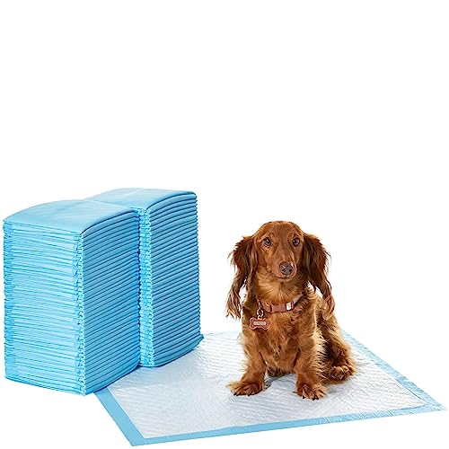 0192233024004 - AMAZON BASICS DOG AND PUPPY PEE PADS WITH LEAK-PROOF QUICK-DRY DESIGN FOR POTTY TRAINING, HEAVY DUTY ABSORBENCY, REGULAR SIZE, 24 X 23 INCHES - PACK OF 80