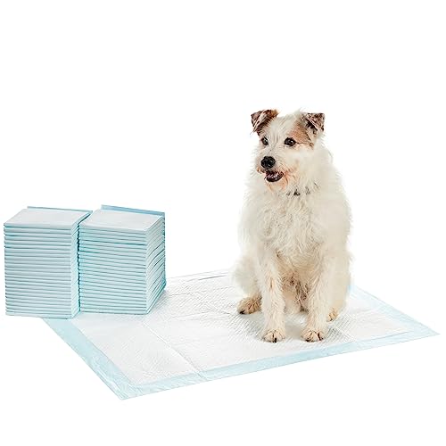 0192233024028 - AMAZON BASICS DOG AND PUPPY PEE PADS WITH LEAK-PROOF QUICK-DRY DESIGN FOR POTTY TRAINING, HEAVY DUTY ABSORBENCY, X-LARGE, 28 X 34 INCHES, PACK OF 50, BLUE & WHITE