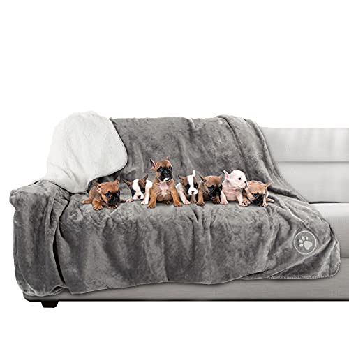 0194189666826 - PETMAKER WATERPROOF PET BLANKET – REVERSIBLE THROW PROTECTS COUCH, CAR, BED FROM SPILLS, STAINS, OR FUR – DOG AND CAT BLANKETS (60X70, GRAY)