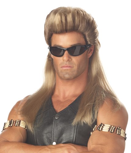 0019519015665 - CALIFORNIA COSTUMES MEN'S BAIL ENFORCER WIG,MULTI,ONE SIZE