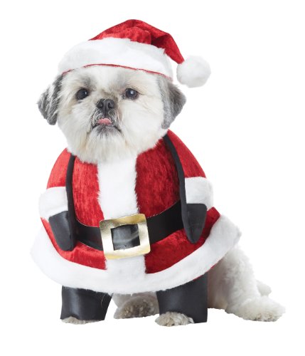 0019519093496 - CALIFORNIA COSTUME COLLECTIONS SANTA PUP DOG COSTUME, LARGE