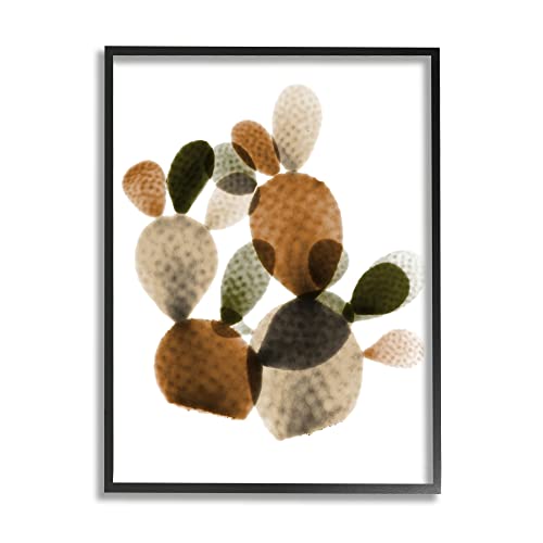 0196216422719 - STUPELL INDUSTRIES PRICKLY PEAR CACTUS PLANTS LAYERED GREEN BROWN SUCCULENTS BLACK FRAMED WALL ART, 11 X 14