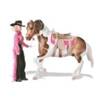 0019756012984 - LET'S GO RIDING WESTERN COLLECTOR'S SET