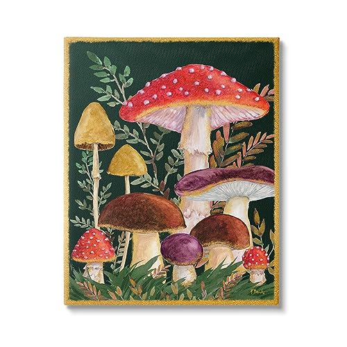 0197658401522 - STUPELL INDUSTRIES WOODLAND MUSHROOMS NATURE CANVAS WALL ART DESIGN BY PAUL BRENT