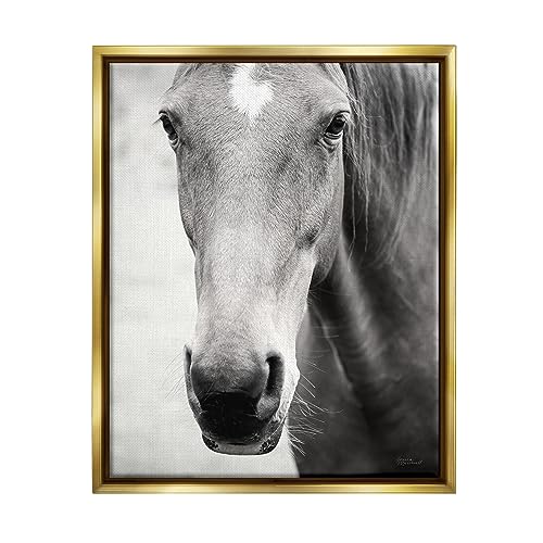 0197658622897 - STUPELL INDUSTRIES MOKE LAKE HORSE PHOTOGRAPHY GOLD FRAMED FLOATER CANVAS WALL ART DESIGN BY LAURA MARSHALL