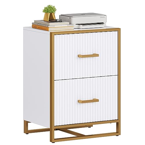 0197839967144 - YITAHOME 2 DRAWER FILE CABINET, LATERAL FILING CABINET FOR HOME OFFICE, WHITE AND GOLD