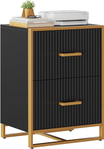 0197839993839 - YITAHOME 2 DRAWER FILE CABINET, LATERAL FILING CABINET FOR HOME OFFICE, BLACK AND GOLD