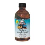 0021078021858 - WELLNESS COUGH SYRUP FOR KIDS