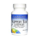 0021078106494 - SLIPPERY ELM LOZENGE UNFLAVORED UNFLAVORED 100 LOZENGES, 100 LOZENGES,1 COUNT