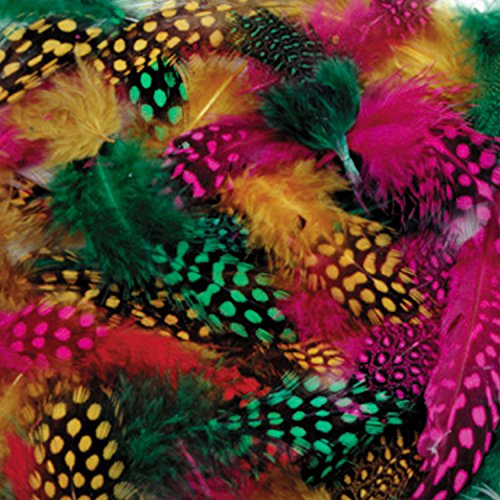 0211960450648 - SPOTTED FEATHERS