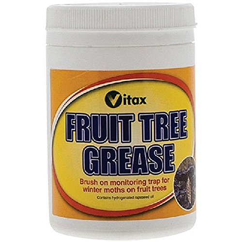 2200000011022 - VITAX FRUIT TREE GREASE 200G