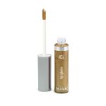 0022700058136 - QUEEN COLLECTION LIP GLOSS ANTIQUE GOLD # 453