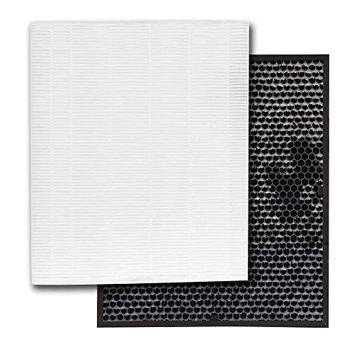 0023169143197 - GENUINE ELECTROLUX EL043 HEPA AND HIGH DEODORIZATION ANTI-ODOR CARBON AIR CLEANER FILTERS FOR ELAP40D8PW, 1 HEPA AND 1 CARBON FILTERS