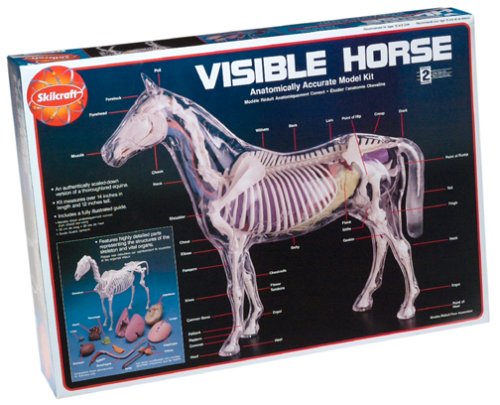 0024225746284 - SKILCRAFT: VISIBLE HORSE
