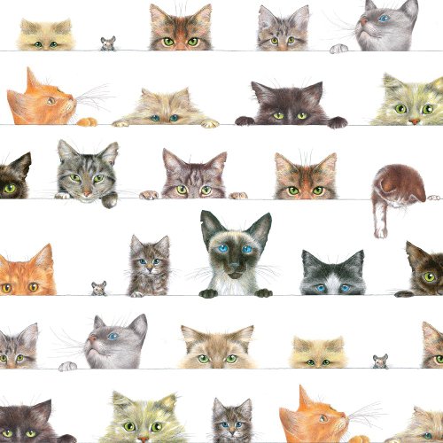 0025096732840 - ENTERTAINING WITH CASPARI GIFT WRAPPING PAPER, KITTIES, 2-SHEETS