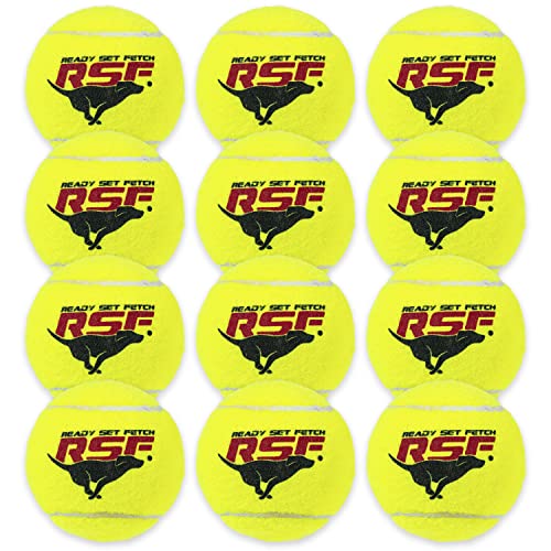 0025725560257 - FRANKLIN PET SUPPLY RSF SQUEAK TENNIS BALLS - DOG TOY SQUEAKS WHEN SQUEEZED - 12 PACK - FOR SMALL, MEDIUM, LARGE DOGS - SQUEAKER NOISE