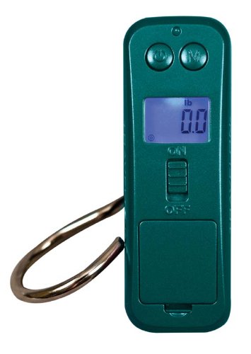 0025732018437 - TRAVELON MICRO-SCALE, TEAL, ONE SIZE